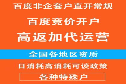 行业领先企业如何运用SEM进行精准营销